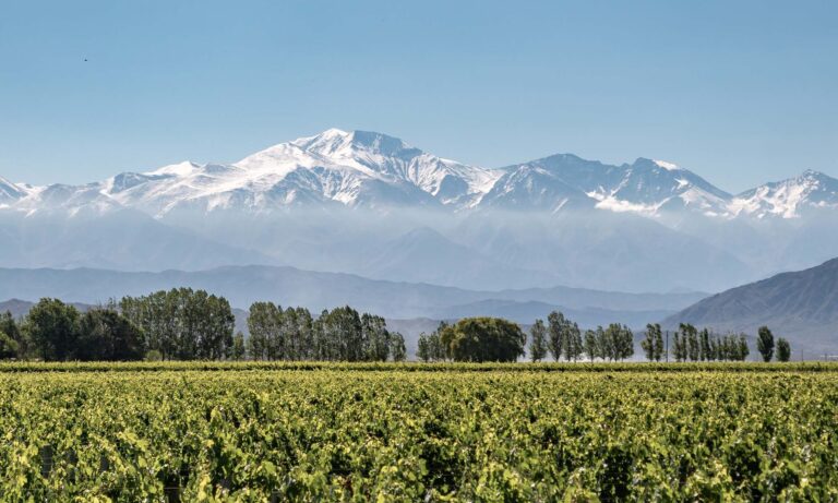 Is-Mendoza-Worth-Visiting-5-q27972zzqylcwqtfm2lbrwx3foi5ldzzjb500on274